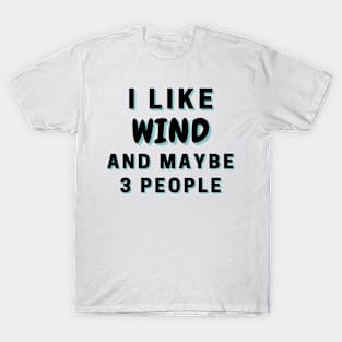 I Like Wind And Maybe 3 People T-Shirt